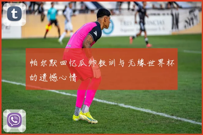 帕尔默回忆瓜帅教训与无缘世界杯的遗憾心情
