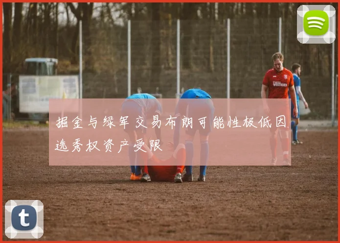 掘金与绿军交易布朗可能性极低因选秀权资产受限