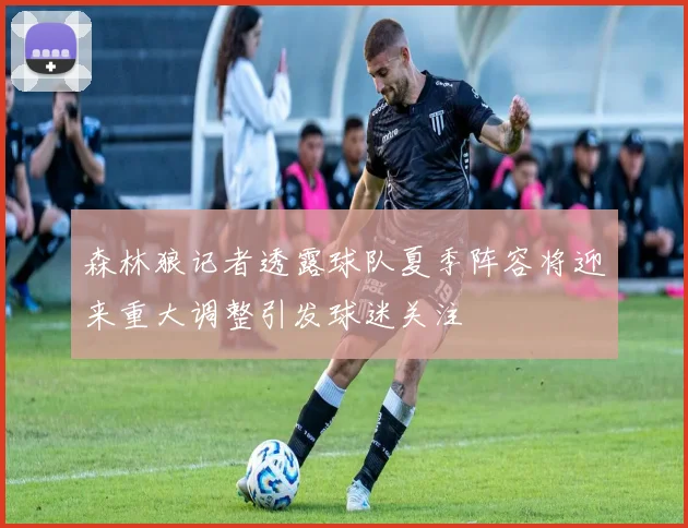 森林狼记者透露球队夏季阵容将迎来重大调整引发球迷关注