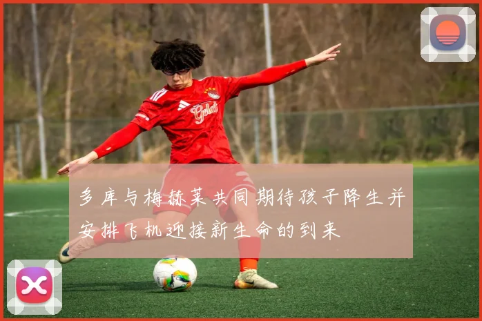 多库与梅赫莱共同期待孩子降生并安排飞机迎接新生命的到来